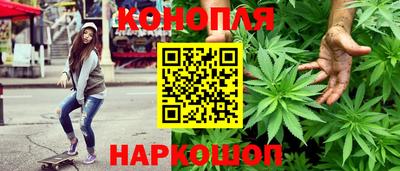 гашик Славянск-на-Кубани