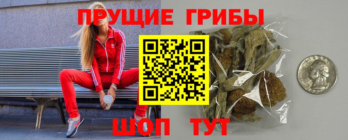 Галлюциногенные грибы Psilocybe Муравленко